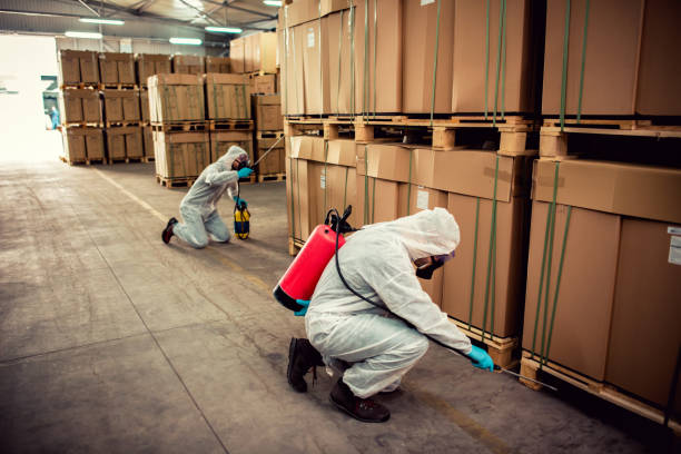 Best Cockroach Control Services  in Morrison, IL