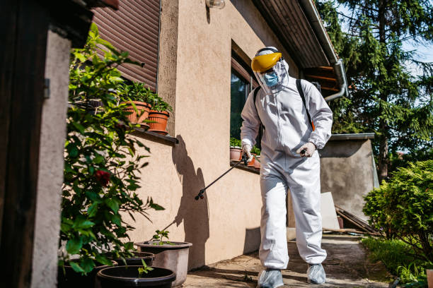 Trusted Morrison, IL Pest Control Experts