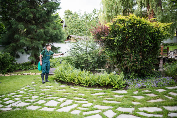 Best Pest Removal Services  in Morrison, IL