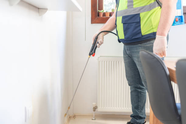 Best Flea Control Services  in Morrison, IL