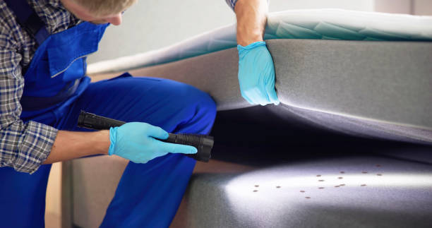 Best Rat Extermination Near Me  in Morrison, IL