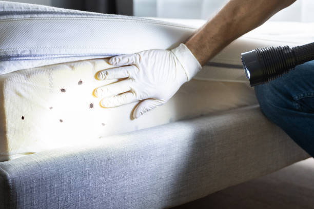 Best Pest Control Near Me  in Morrison, IL