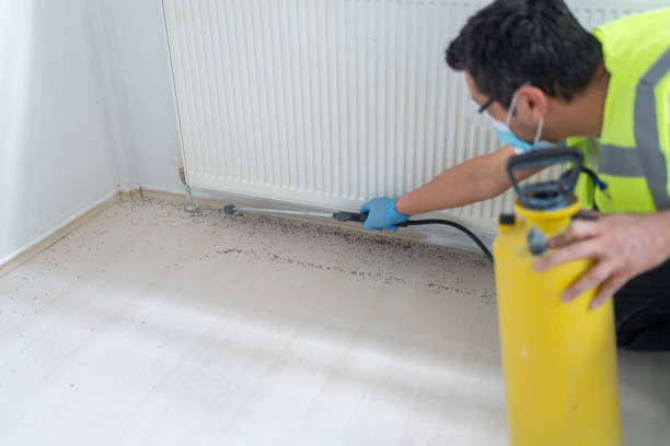 Best Emergency Pest Control  in Morrison, IL
